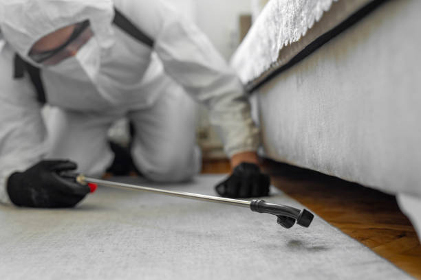 Professional Bed Bug Control technician working in San Bernardino County County, CA